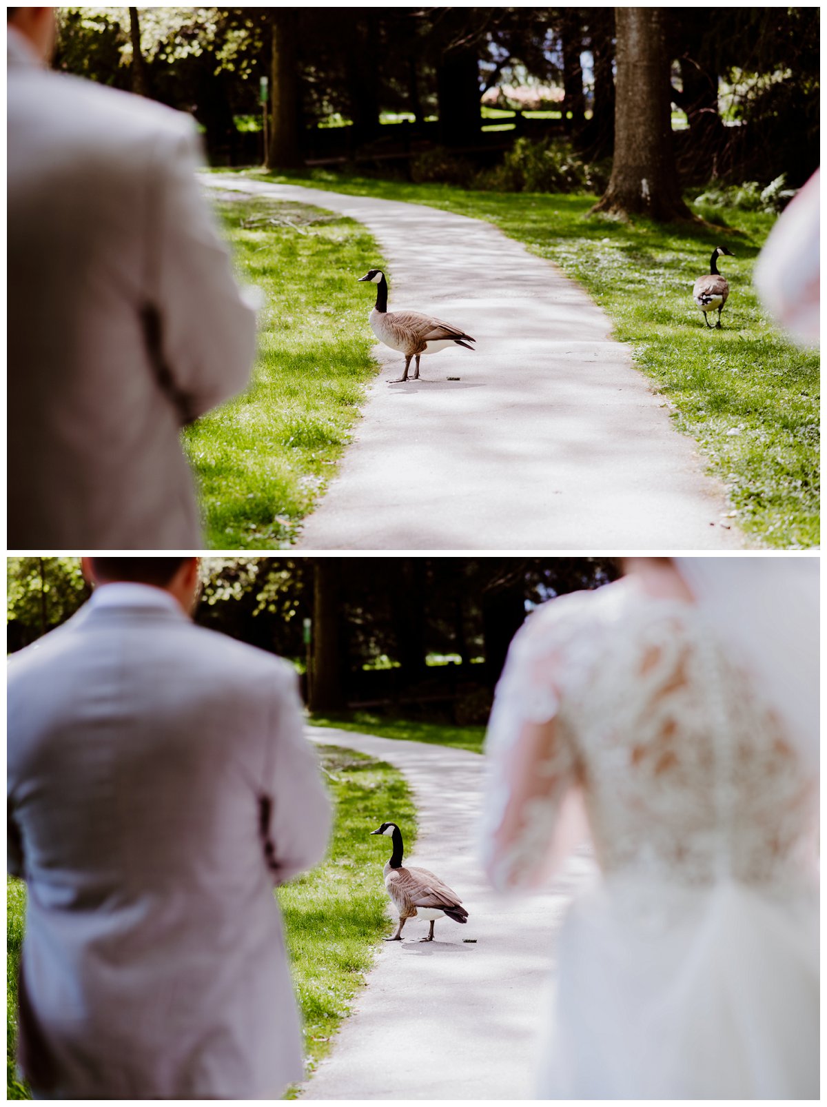 minoru park wedding photographer